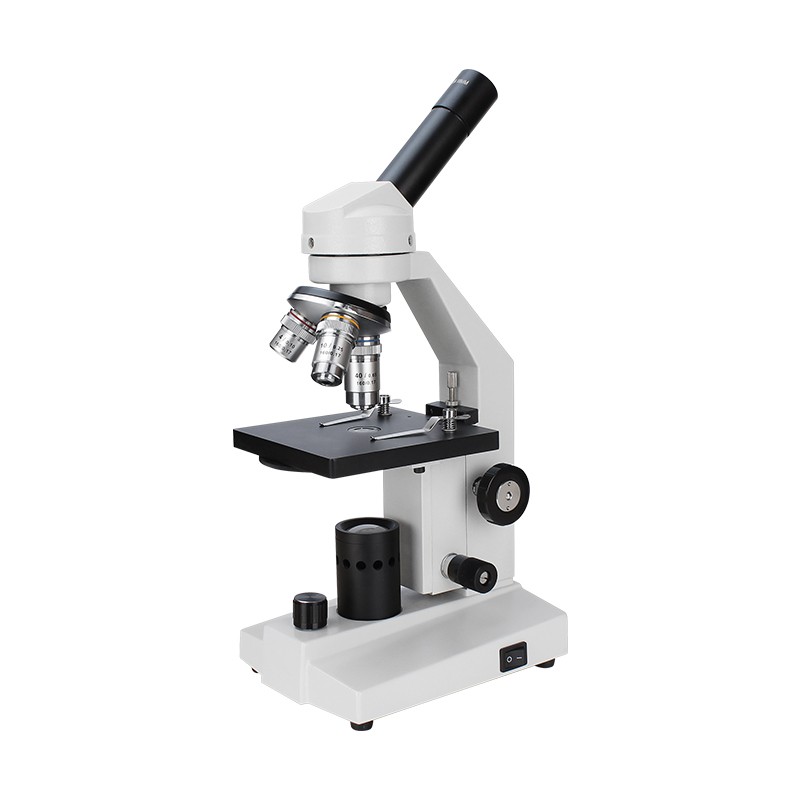 Dual View Biological Compound  Microscope 400x 